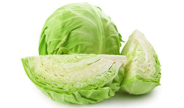 bắp cải bắp cải
