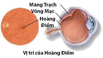 điểm vàng điểm vàng