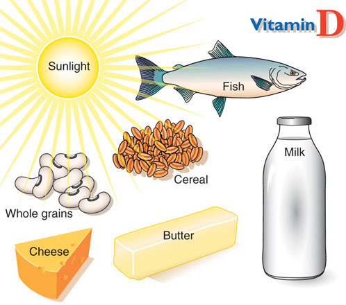 nguồn cung cấp vitamin D nguồn cung cấp vitamin D