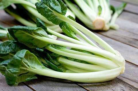 rau cải rau cải