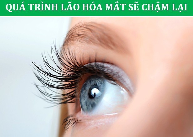 lão hóa mắt lão hóa mắt