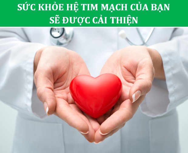 tốt tim mạch tốt tim mạch
