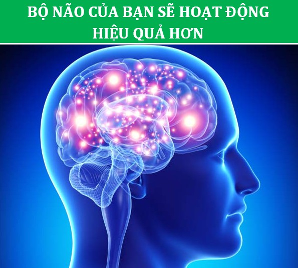 não bộ khỏe mạnh não bộ khỏe mạnh