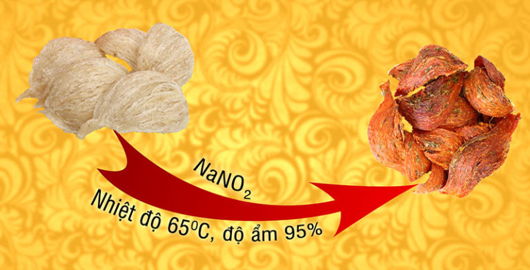 tạo ra huyết yến tạo ra huyết yến