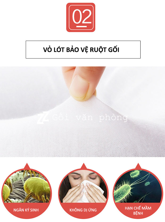 Vỏ lót ruột gối Vỏ lót ruột gối