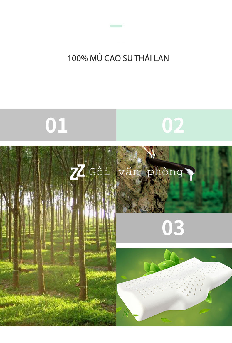 mủ cao su mủ cao su