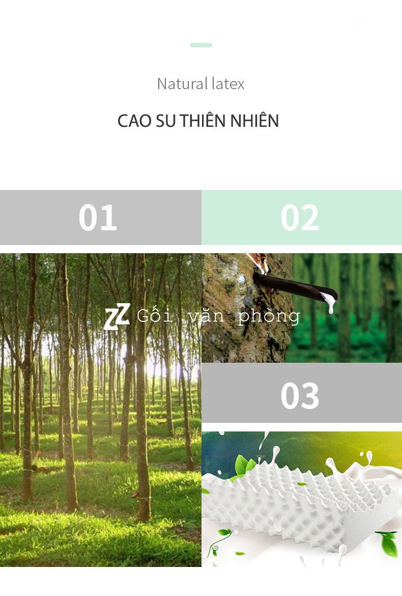 mủ cao su mủ cao su